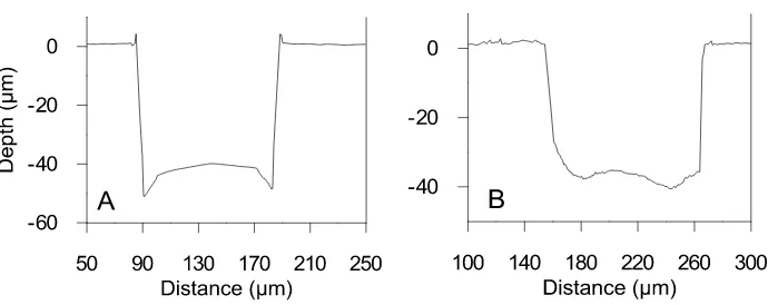 Figure ‎2.3: Secondary electron images of pyrite craters from: A) the 193 nm excimer laser and B) the 213 