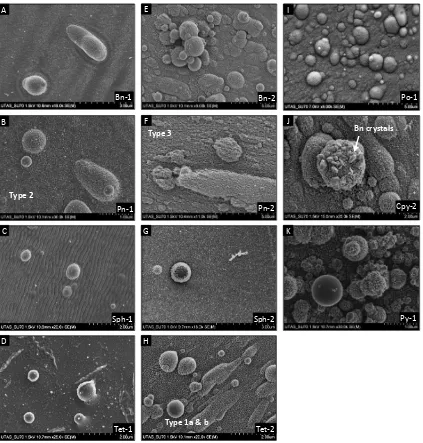 Figure ‎2.5: Secondary electron images of material surrounding the ablation craters. Mineral-1: 213 nm 