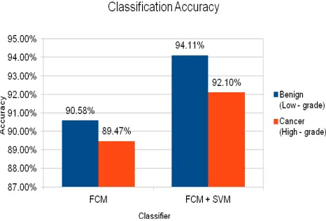 Figure 3. Classification Accuracy