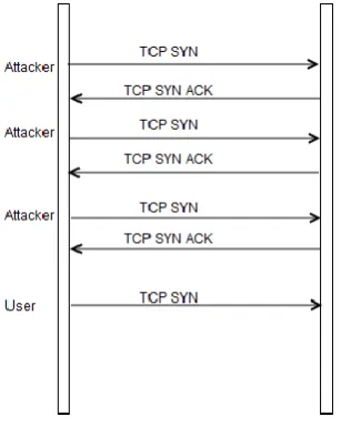 Figure. 3 TCP syn flood