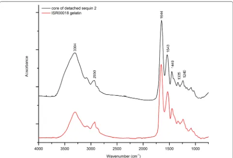 Fig. 5 µ-FTIR spectrum from the core of the detached sequin 2, consistent with the presence of protein (IRUG reference spectrum ISR00018)