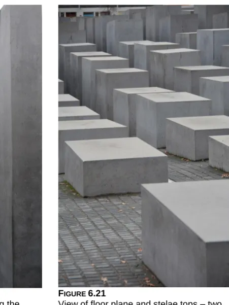 FIGURE 6.21 View of floor plane and stelae tops – two 