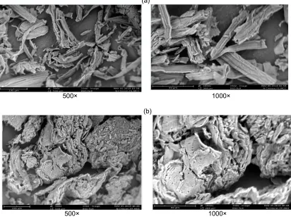 Fig. 2. Scanning Electron micrograph of (a) FS-MCC (b) FP-MCC  