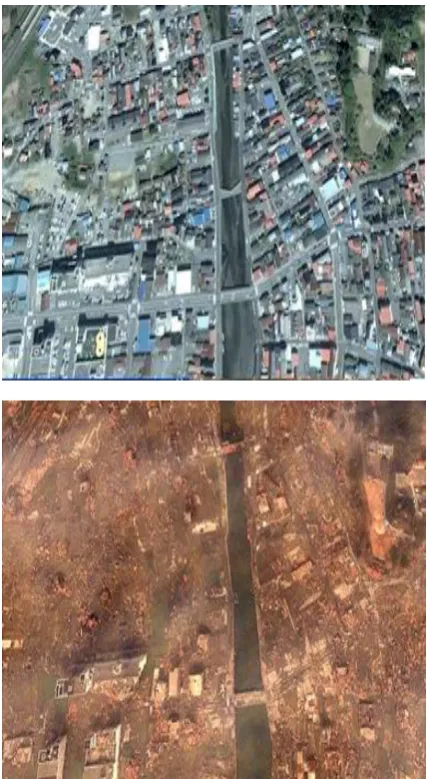 Fig 4: Pre and Post tsunami pictures 