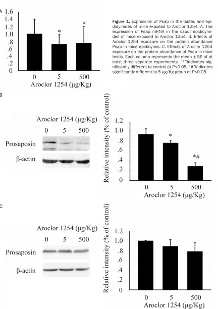 Figure 1. Expression of Psap in the testes and epi-didymides of mice exposed to Aroclor 1254
