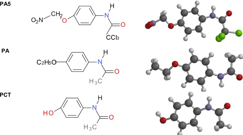 Fig. 1. Schematic and optimized structures of the studied compounds 