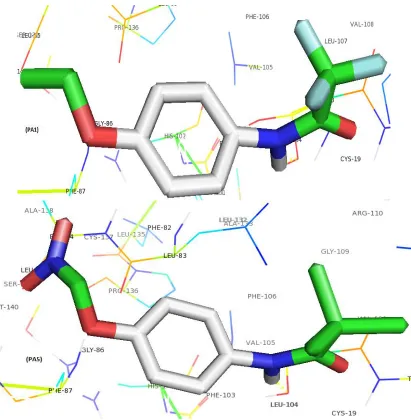 Fig. 2. Molecular binding interaction between PA1 and PA5 with 5bqh  