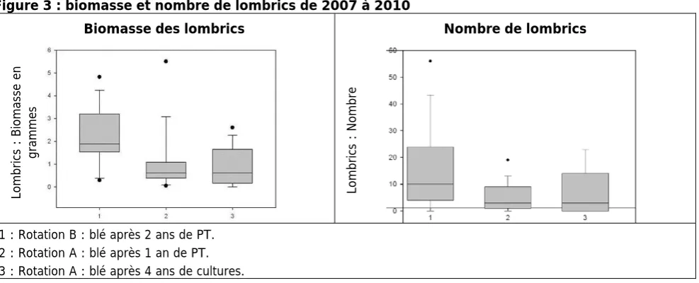 Figure 3 : biomasse et nombre de lombrics de 2007 à 2010 