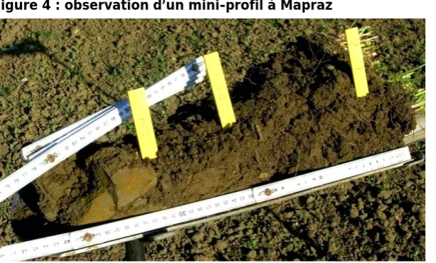 Figure 4 : observation d’un mini-profil à Mapraz 