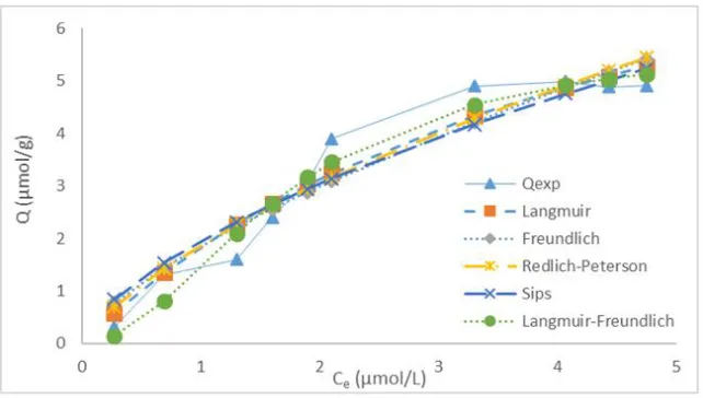 Fig. 9. Non-linear kinetic study of catechol removal onto the activated carbon MKC 