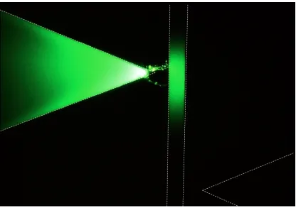 Figure 5.8 Fluorescence microscope screenshot of the injected fluorescein-