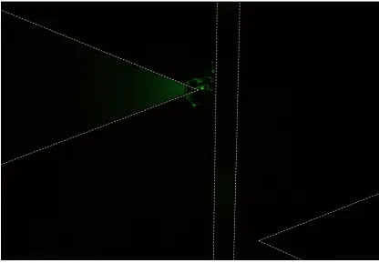 Figure 5.9 Fluorescence microscope screenshot of the injected fluorescein-