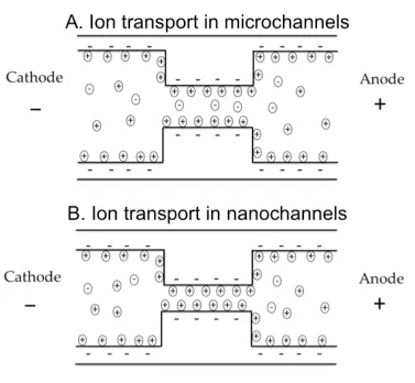 Figure 1.3 Schematic explaining the difference between ion transport in 