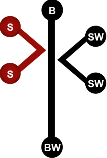 Figure 1.6 Schematic diagram of the microfluidic design (dimensions not to 
