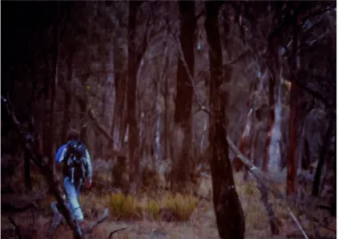 Figure 2: Patrick Sutczak, West Walk, 2013, digital video still.