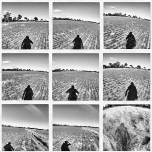 Figure 3: Patrick Sutczak, Across the fields, 2013, digital photographs.