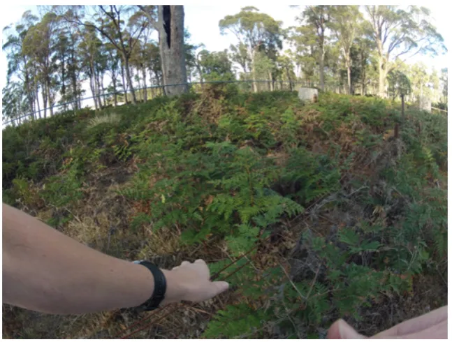 Figure 4: Patrick Sutczak, Walking/Filming, 2013, digital video still.