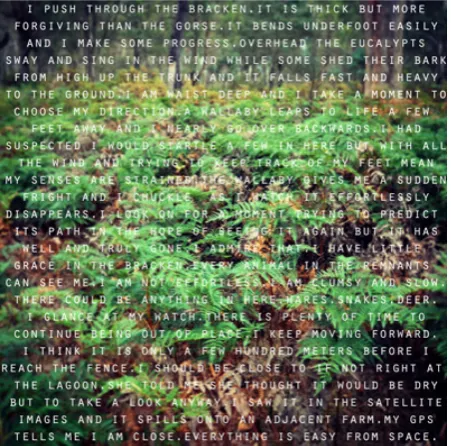 Figure 7: Patrick Sutczak, Everything is Easy from Space, 2013, text, 