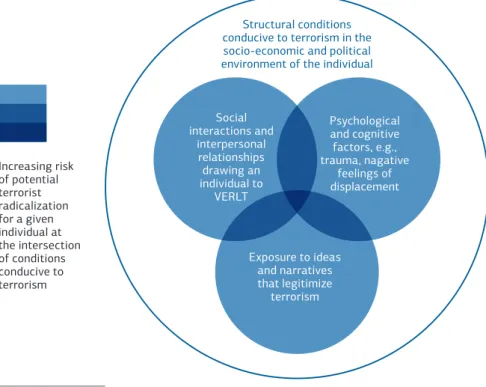 Figure	No.	1:	Conditions	conducive	to	terrorist	radicalization	in	an	individual	case