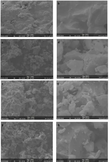 Fig. 6. SEM of samples: (a & b) Garcinia kola nut shell (CB); (c & d) CBH 2/1, (e & f) CBK1/1 and (g & h) CBZ1/1 ACs prepared at 400°C of carbonization temperature 