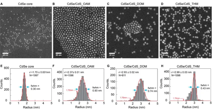 Figure 2.5 STEM images and radius histograms for CdSe cores (A,E) and core/shell samples CdSe/CdS_OAM (B,F), CdSe/CdS_DOM (C,G), and CdSe/CdS_THM (D,H)