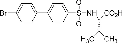 Figure 3.2 Fe3O4/SiO2/PMAA nanoparticle structure 
