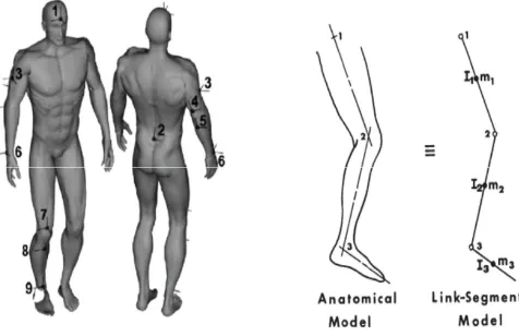 Figure 1: Major body locations for analyzing humanmovement [12, 13].