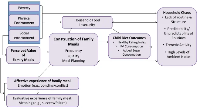 Figure 3.1. Original conceptual framework describing relationships between food insecurity, household  chaos, family meals, and child outcomes 