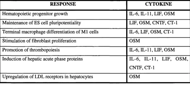 Table 1.1: Major biological responses to IL-6 family cytokines