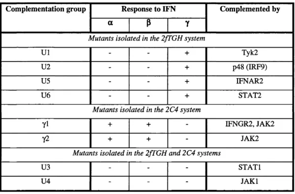 Table 1.3:  Complementation groups of mutants in IFN signalling pathways