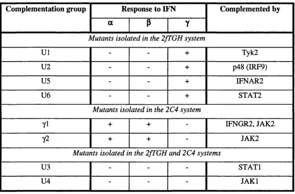Table 1.3:  Complementation groups of mutants in IFN signalling pathways