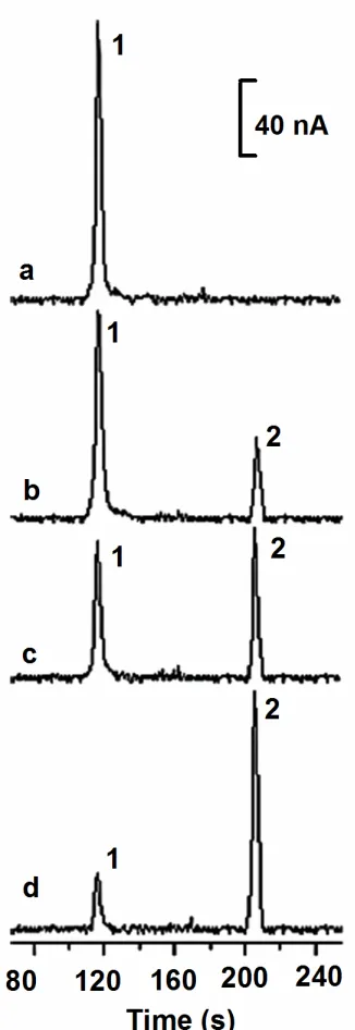 Figure 1.3 Electropherograms of Ab* and the Ab*–Ag immunocomplex. The 