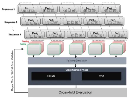 Figure 2. DNA sequences classification model 