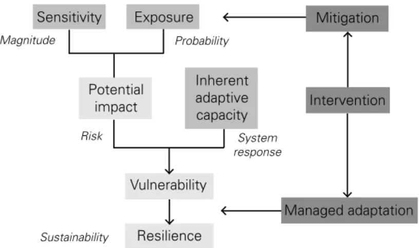 Figure 4.1: Managing climate-change risk