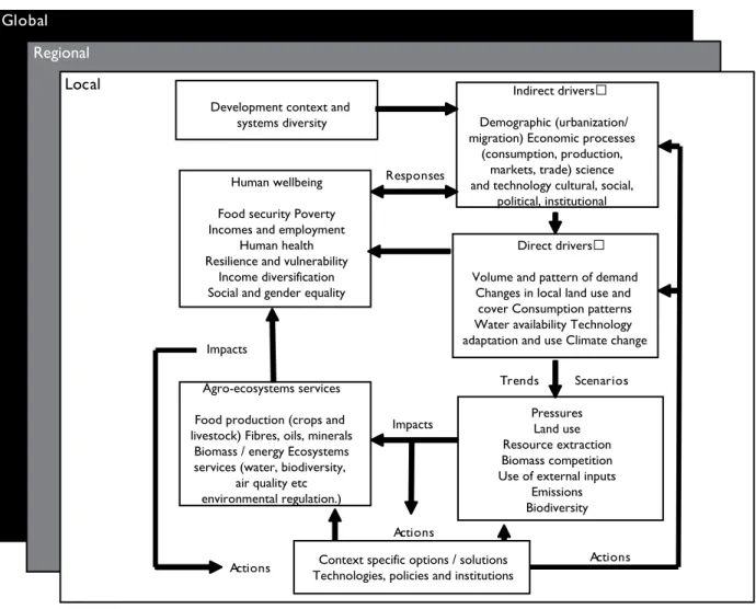 Figure 1. Conceptual framework for studying the impacts of drivers of change in crop–livestock systems