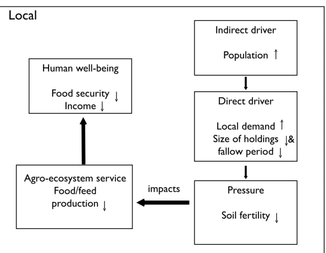 Figure 2. Overview of a framework and how it relates to a specific crop–livestock system