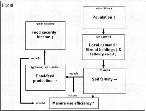 Figure 3. Overview of a framework and how it relates to a specific crop–livestock system under a technology intervention
