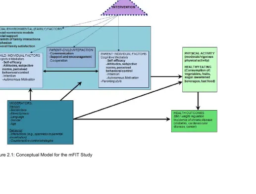 Figure 2.1: Conceptual Model for the mFIT Study 