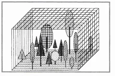 Figure 4.1. Conceptual diagram o f a three-dimensional forest scene model(Sun and Ranson, 1995).