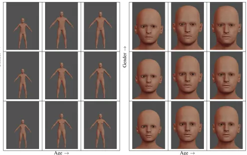 Fig. 6. →Experiment 1: extreme and average values for Age and Gender of the virtual characters submitted for voting.