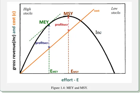 Figure 1.4: MEY and MSY.
