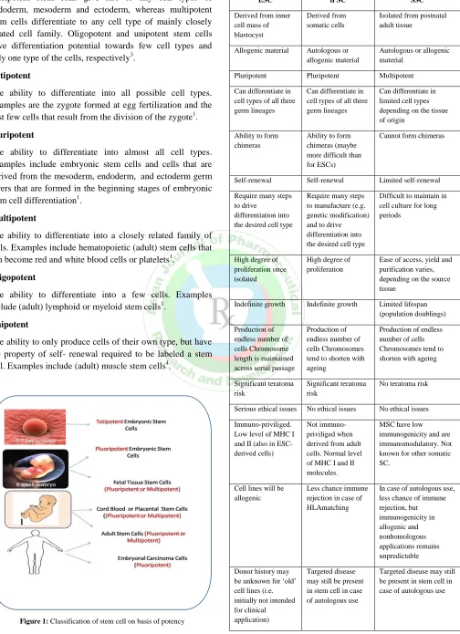 Figure 1: Classification of stem cell on basis of potency 