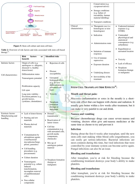 Figure 5: Stem cell culture and stem cell lines 
