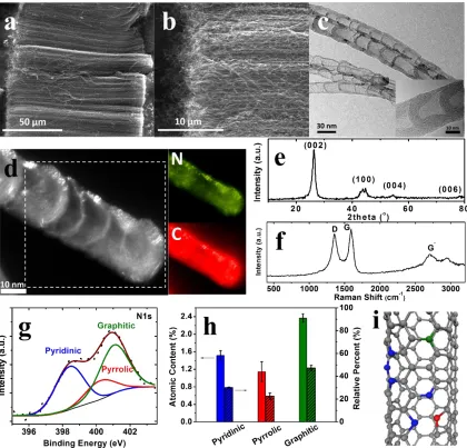 Figure 2.1. Physical characterization of NCNTs. (a) and (b) SEM images of NCNTs at low and high magnification, respectively