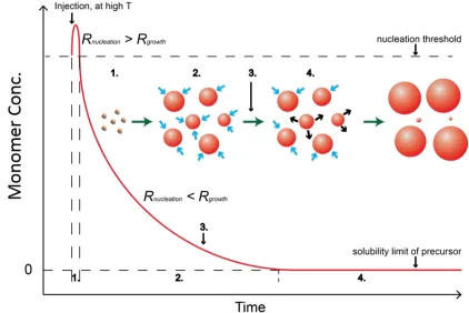 Figure 1.1 Reaction scheme for preparation of monodispersed colloidal QDs. Stage 1. Nucleation reaction; stage 2
