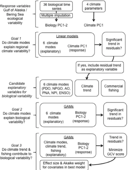 Fig. 1.2  Schematic of analytical steps used in the study. 