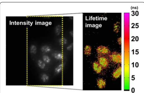 Fig. 8 Contact CMOS fluorescent imaging system set up (repro‑duced from [84], published by MDPI in open access)