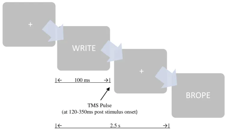 Figure 6.4. Sample of timing of word presentation and TMS pulse.TMS pulse timing 