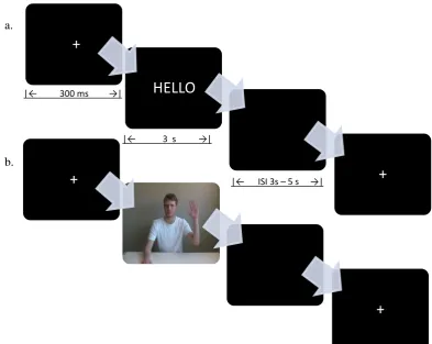 Figure 7.1a and 7.1b. Sample of timing of stimulus presentation for a) text stimuli 
