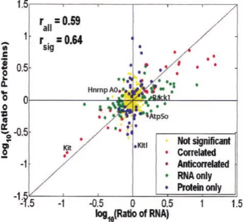 Figure 2.6: Scatter plot of mRNA versus cognate protein fold changestaken from [17]. The overall correlation coeﬃcient for all the 425 genesin the analysis is 0.59.